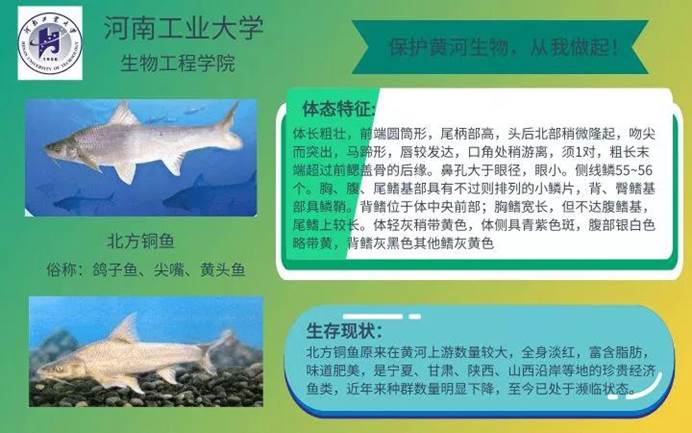 黄河生物土建